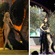 Illustration for article titled Wait, Now China Is Ripping Off Underwear Fashion Shows?
